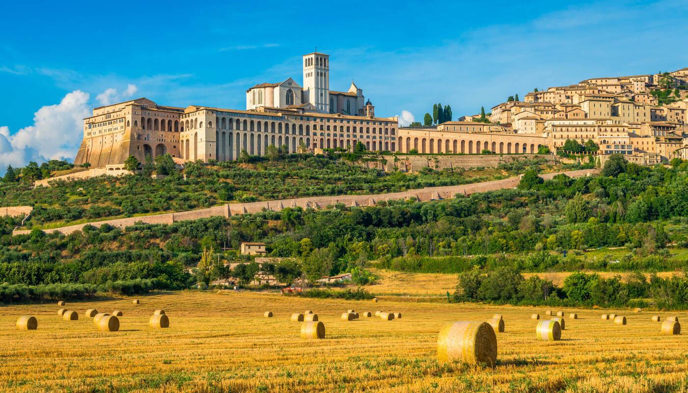 assisi